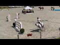 Show jumping horse Mikado Mistral HVR