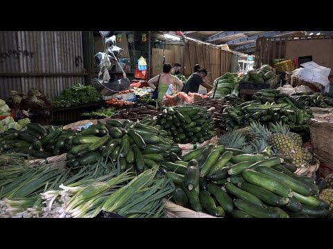 Mercado Mayoreo abastecido en frutas y verduras
