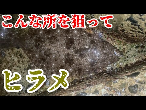 ヒラメ釣り！ベイトが出入りする好ポイント狙ってみた＠釣りに行こうか