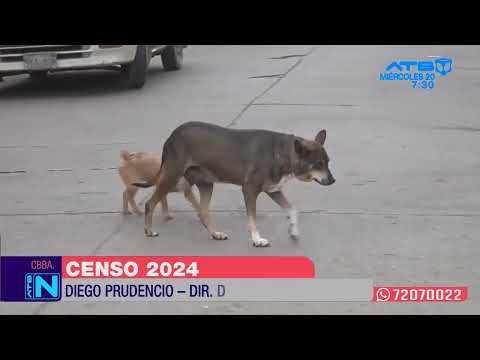 Cochabamba: Recomiendan mantener a las mascotas dentro de las casas en el Censo