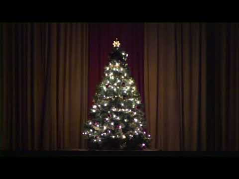 Annual Christmas Concert and Tree Lighting Ceremony