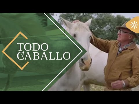 TodoCaballo | Manuel Luque: ganadería ejemplar en bienestar animal con las Cinco Libertades