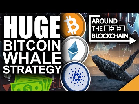 HUGE Bitcoin Whale Strategy Revealed For 2021 (Best Altcoin Picks)