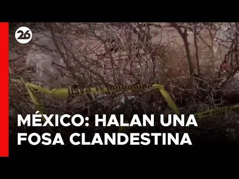 MÉXICO | Hallan 6 cadáveres en fosa clandestina de Ciudad Juárez