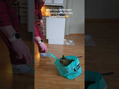 Off Camera Life: In Between Researching Mysterious Cases And Conspiracies...