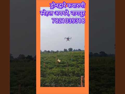 फवारणी ड्रोनने शेतात #shorts #ytshorts #trending #short #youtubeshorts #youtube.