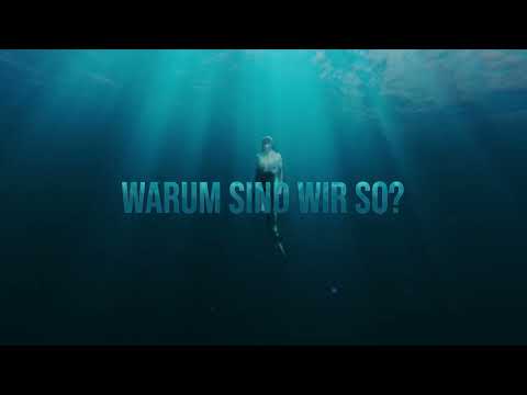 Sarah Connor - Warum sind wir so (Offizieller Visualizer)