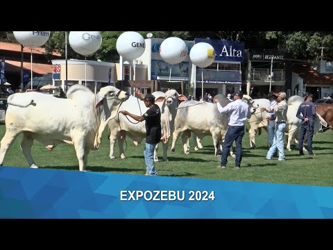Expozebu 2024: maior feira zebuína do mundo deve atrais mais de 400 mil pessoas