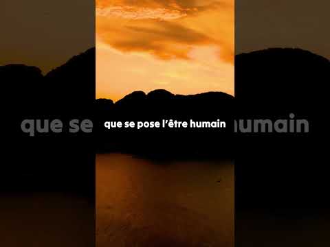 Qui est responsable de l'univers ? #8