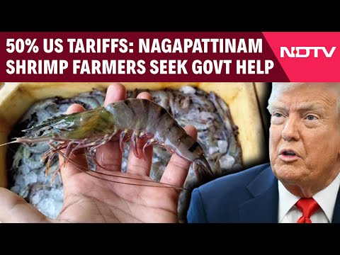 US Tariffs On India | Nagapattinam Shrimp Farmers Seek Govt Help Amid Concerns Due To US Tariff