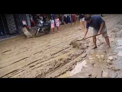 Alerta nacional: 80 puentes podrían colapsar por El Niño