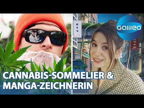 Young Jobs: Cannabis-Sommelier & Manga-Zeichnerin | Galileo | ProSieben