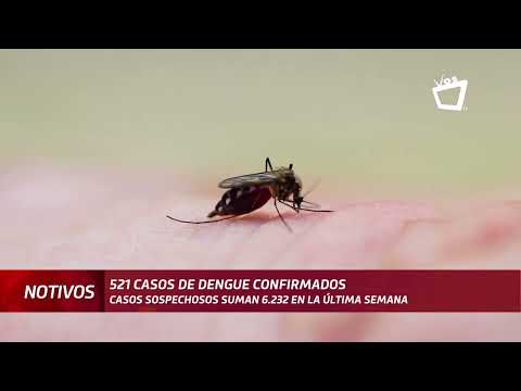 Nicaragua reporta 521 casos confirmados de dengue y 6.232 sospechosos en la última semana
