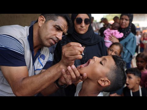 UNICEF spokesperson on challenges to vaccinate children against polio in Gaza