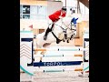 Show jumping horse Corneta C