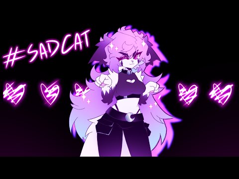 sad cat dance animation meme  💕 💜