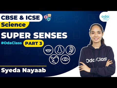 SUPER SENSES PART - 3 | BIOLOGY | NAYAAB MA'AM | CLASS 5 | CLASS 4