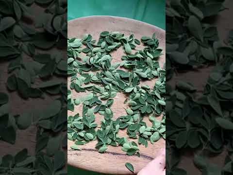 Cómo deshidratar flores y hojas delicadas de forma casera
