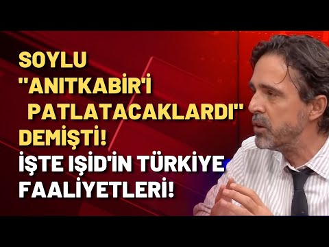 Timur Soykan tek tek anlattı: İşte IŞİD'in Türkiye faaliyetleri!