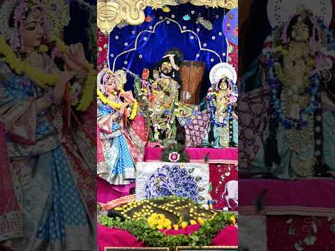 श्री राधा दामोदर भगवान दान वंदन के रुप में दर्शन दिए 🙏🙏#vrindavandham #राधेराधे