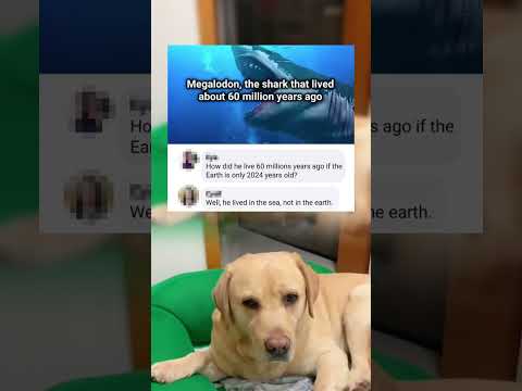 #memes #story #dog #shorts #pets