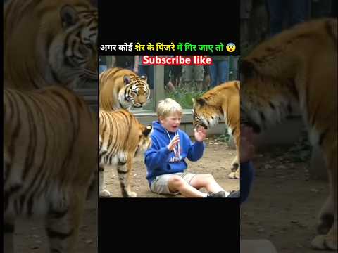 अगर कोई शेर के पिंजरे में गिर जाए तो 😨_#shorts