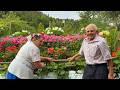How an Elderly Carpathian Couple Keeps Old Mountain Traditions Alive