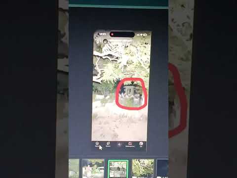 paposh graveyard 😳 #shorts #viralshorts #youtubeshorts