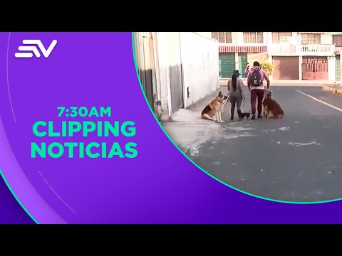 Vecino de Cotocollao rescata a perrito que fue abandonado | Televistazo en la Comunidad