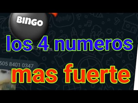 los 4 números más fuertes que les gustan salir los sábados