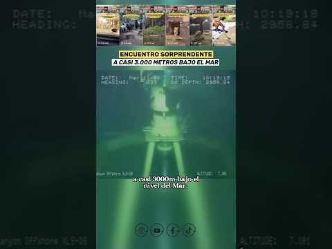 El Gigante que Descubrieron 3.000 metros Bajo el Mar 🤯