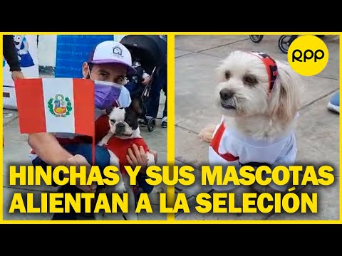 PER´UVS PARAGUAY | Hinchas congregan fuera del Hilton con sus mascotas alentando a la selección