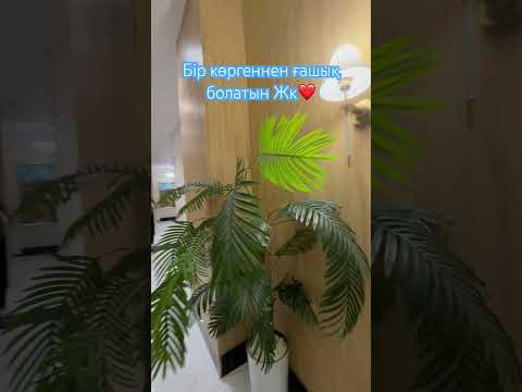 Жк Тұмар Тауэр сыртқы ауламен ішкі зонаның мини обзоры бұйырсын сізге 🔥👍 #реалтишымкент