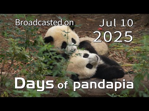 20250710 Broadcast Top Highlights 15