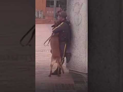 Vigilante se esconde para abrazar a su perro mientras trabaja