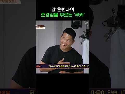 반려견의 <strong>마음</strong> #개와늑대의시간2 #shorts