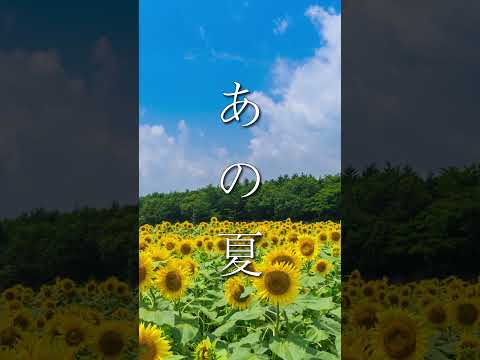 【癒し効果】2度と戻れない、あの夏のノスタルジー 夏を感じる、涼しげな音楽【作業用BGM】 #リラックス