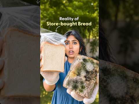 Homemade vs Packaged Bread - 10 Days Shocking Test