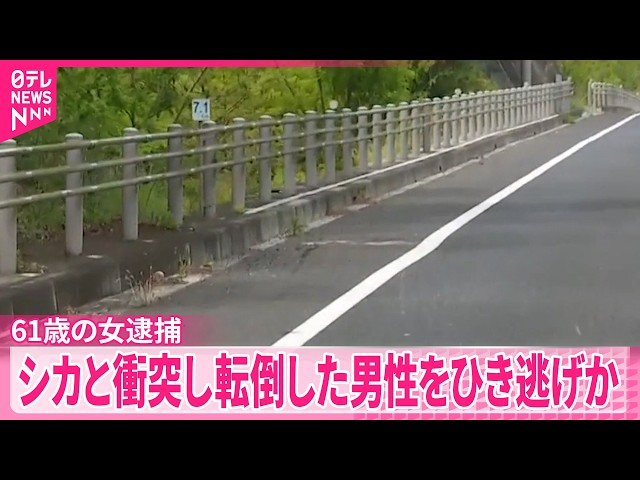 Image of Motorcyclist Dies After Deer Collision and Hit-and-Run