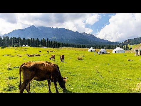 Cuerpo de Producción y Construcción de Xinjiang continúa trabajando por el bienestar de la población