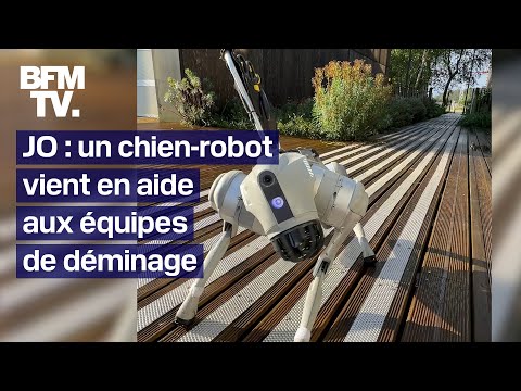 Ce surprenant chien-robot va épauler les équipes de déminage durant les JO