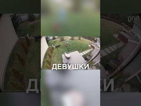 Не удержала пёсика 😂 #истории #история #новости #новость #shorts