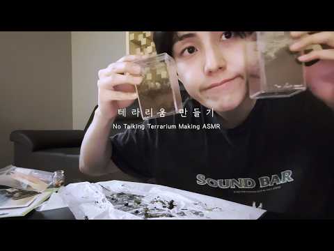 테라리움 만들기 ASMR