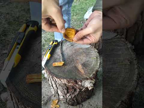 Camping Tips 💯 #viral #bushcraft #camper #camping #outdoors #creative #keşfet #shorts