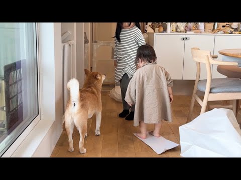 柴犬と女の子姉妹でママを喜ばせよう作戦を決行してみた