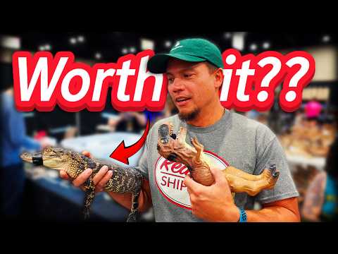 Are people still BUYING REPTILES? | Brian Kusko at **Are People Still Buying Reptiles? | Brian Kusko at the Kansas City Reptile Show**

In this episode