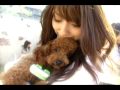 bowlingual voice dog translator from takaratomy