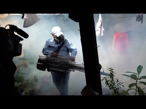 Costarricense elogia gratuidad de la fumigación en Nicaragua