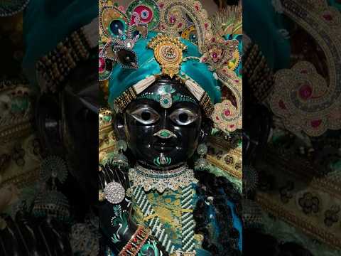 बोलो वृंदावन श्री बांके बिहारी लाल की जय 🙏🏼🥀✨️#virdavan #treanding #ytshaorts