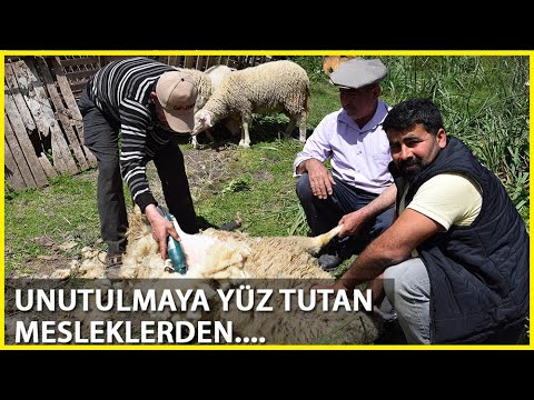 'Koyun berberi' Talebe Yetişemiyor